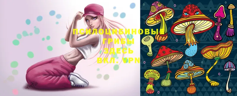 Псилоцибиновые грибы MAGIC MUSHROOMS  shop наркотические препараты  Кандалакша  купить наркоту 